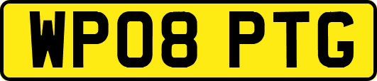 WP08PTG