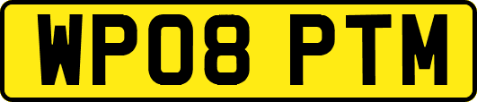 WP08PTM