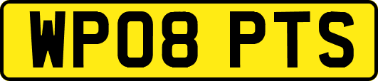 WP08PTS