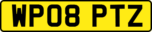 WP08PTZ