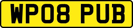 WP08PUB