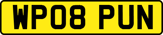 WP08PUN