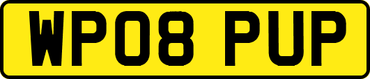 WP08PUP