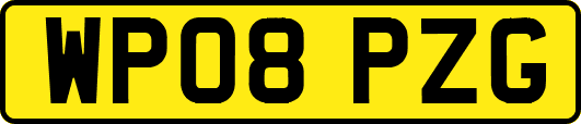 WP08PZG
