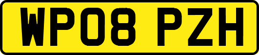 WP08PZH