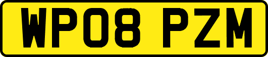 WP08PZM