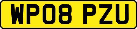 WP08PZU