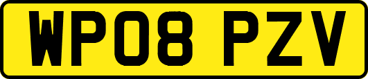 WP08PZV