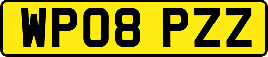 WP08PZZ