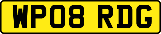 WP08RDG