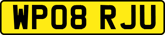 WP08RJU