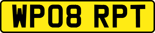 WP08RPT