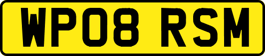 WP08RSM