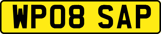WP08SAP