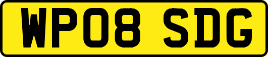 WP08SDG