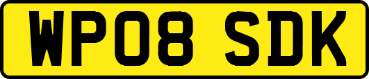 WP08SDK