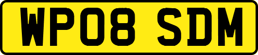 WP08SDM