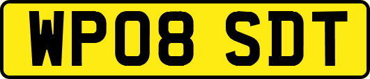 WP08SDT