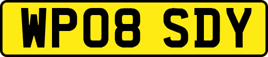 WP08SDY