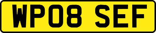 WP08SEF