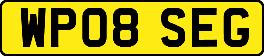 WP08SEG