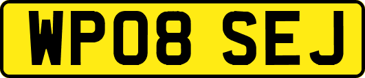 WP08SEJ