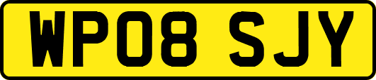 WP08SJY