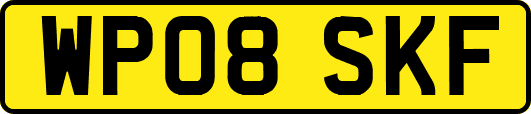 WP08SKF