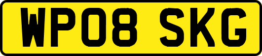 WP08SKG