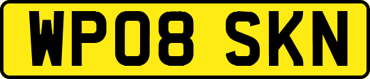 WP08SKN