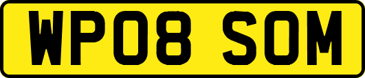 WP08SOM