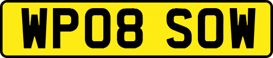 WP08SOW