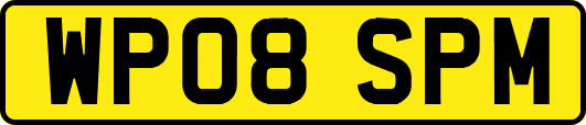 WP08SPM