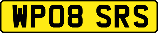 WP08SRS