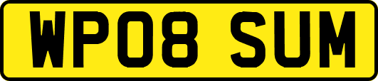 WP08SUM