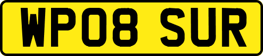 WP08SUR