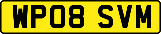 WP08SVM