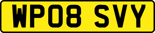 WP08SVY