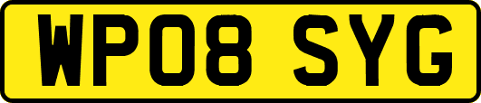 WP08SYG