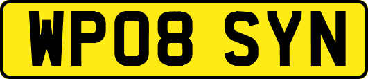 WP08SYN