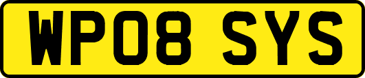 WP08SYS