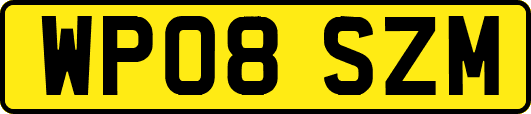 WP08SZM