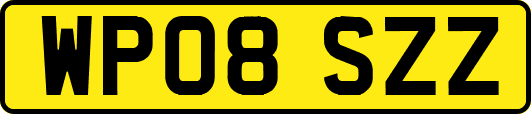 WP08SZZ