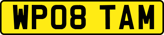 WP08TAM