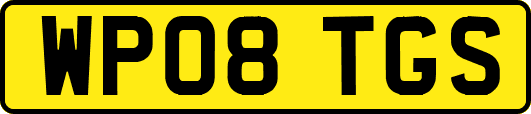 WP08TGS