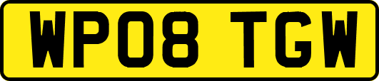 WP08TGW