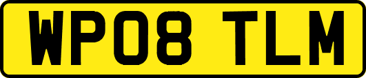 WP08TLM