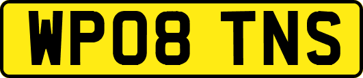 WP08TNS