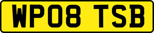 WP08TSB