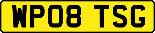 WP08TSG